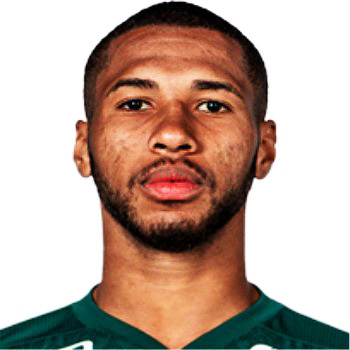 WESLEY - Palmeiras - Futcards